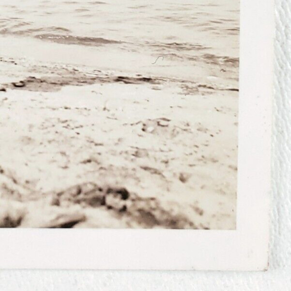 Stunningly Adorable Beach Babe Photo 1940s Swimsuit Woman Chesapeake