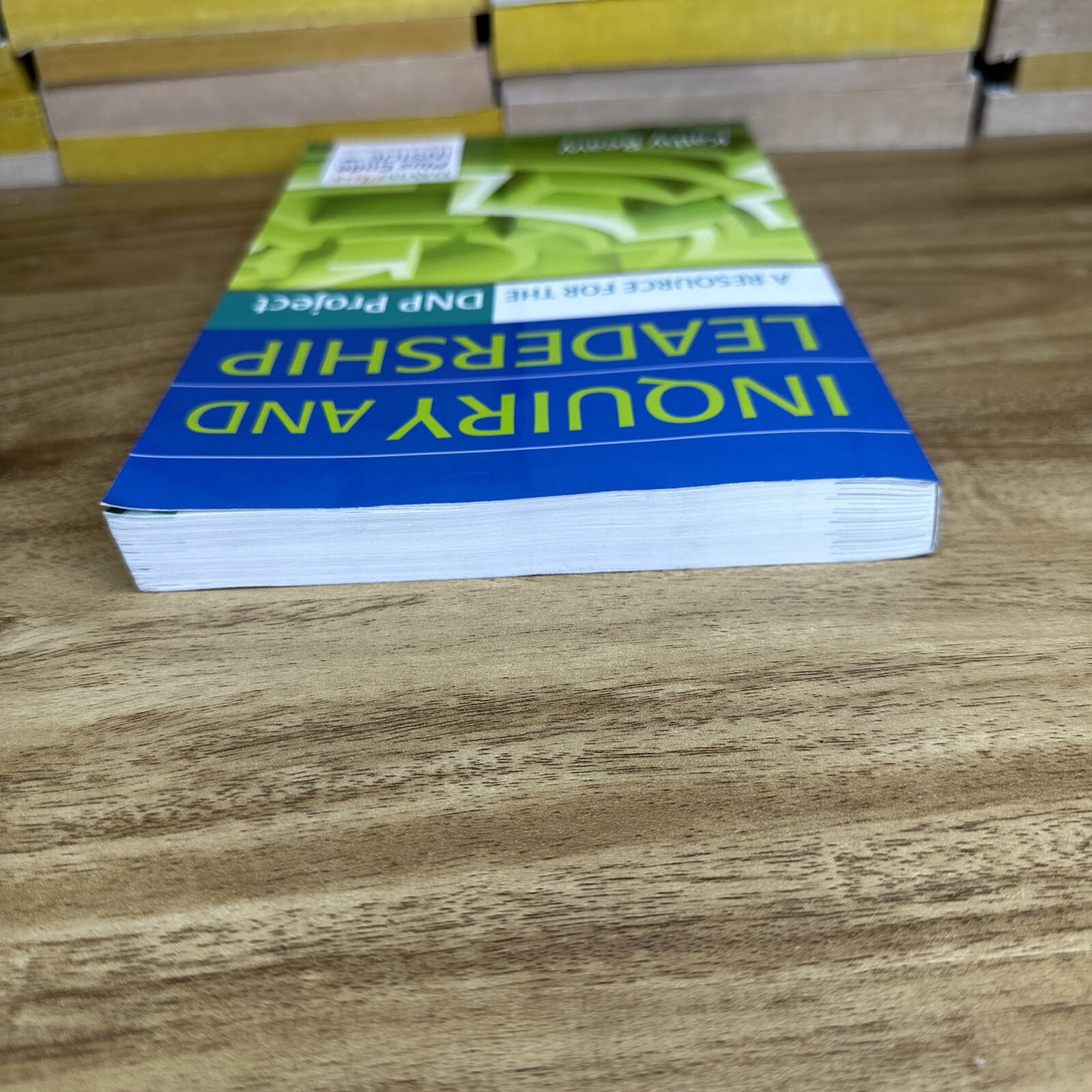 Inquiry And Leadership.  A Resource For The DNP Project Paperback