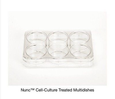 Thermo Scientific 140675 Multi Dish 6 Well 75 Count NEW/SEALED + FAST SHIPPING
