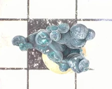 04771 MM Rosasite Christmas Mine Gila County Arizona USA 3326