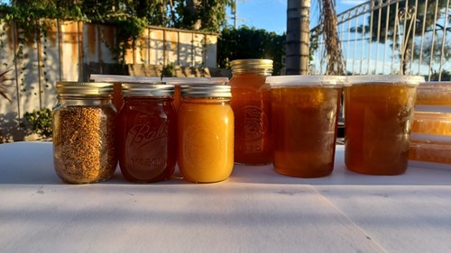 raw organic unfiltered honey - Picture 2 of 3