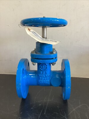 Watts 2” Gate Valve NRS Flanged Epoxy Coated 405-RW $299 W18 | eBay