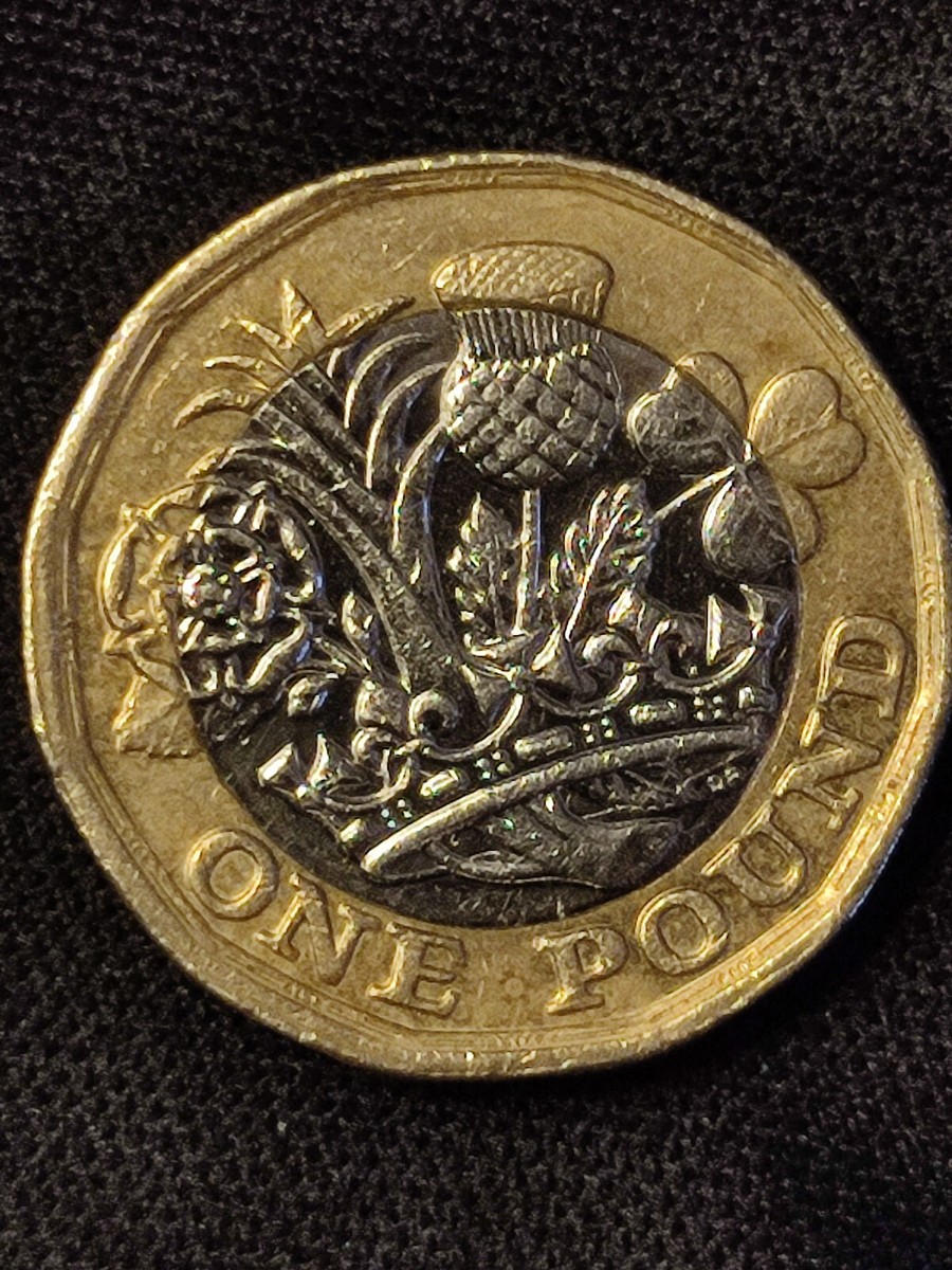 RARE 2017 ONE POUND COIN, YEAR MISPRINT 2016 MINTING ERROR | eBay UK
