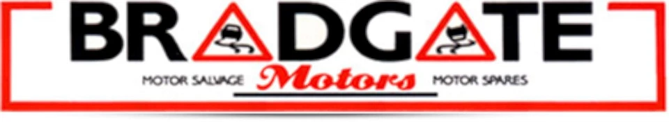 REPETIDOR LATERAL NISSAN MICRA 1998-2000 Foto 4 de 4