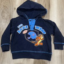 Disney Pooh Tigger Pullover Hoodie Y2K Boys Toddlers 24M