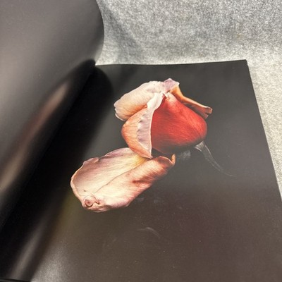 VISIONAIRE 40 DAVID SIMS / ROSES サイン本 💧💧 Visionaire #40 David Sims Roses, Signed With Print No 2834