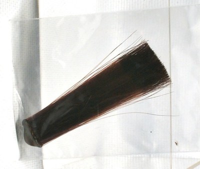 Hareline Fly-Tying Mayfly Tail /  MicroFibetts 3  Brown #437