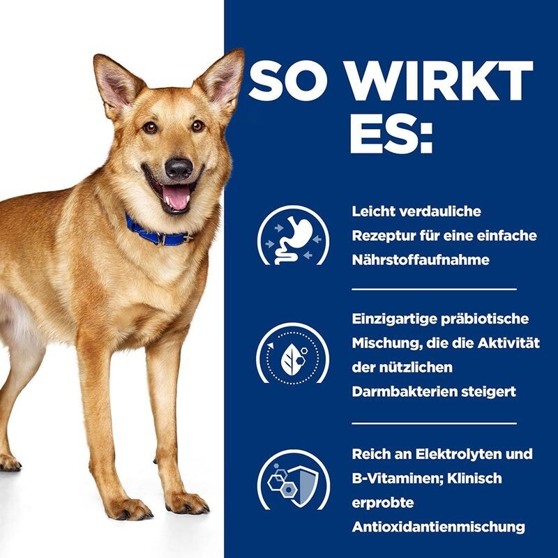Bild 10 von 13