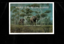Gambia 2000 - Bushveld Wildlife - Souvenir Stamp Sheet - Scott #2199 - MNH