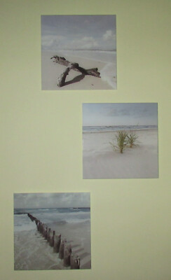 3 Glasbilder ''Strand'' / Holzpfosten, Gräser, Wurzel / Eurographics
