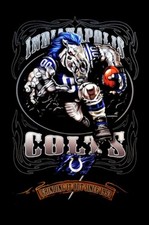 Indianapolis Colts 3 Grinding It Out  NFL FOOTBALL TEAM  Sports -MAGNET