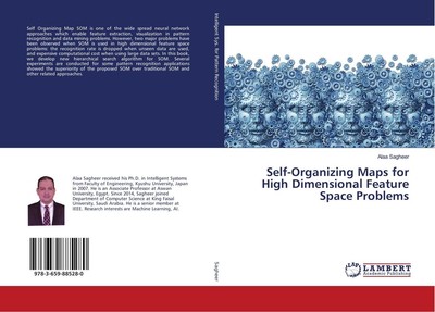 Self-Organizing Maps for High Dimensional Feature Space Problems Alaa Sagheer