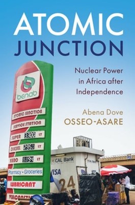 Atomic Junction by Abena Dove Osseo-Asare: New