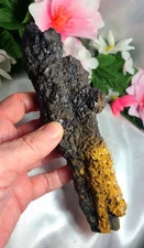 Largest Massive 7" 512g Prophecy Stone Z "Phoenix Rising Wand"  Egyptian 3rd Eye