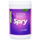 Spry Xylitol Natural Berry Blast Mints Sugar Free Candy - 1200 Count (Pack of 1)