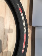 specialized the captain 26