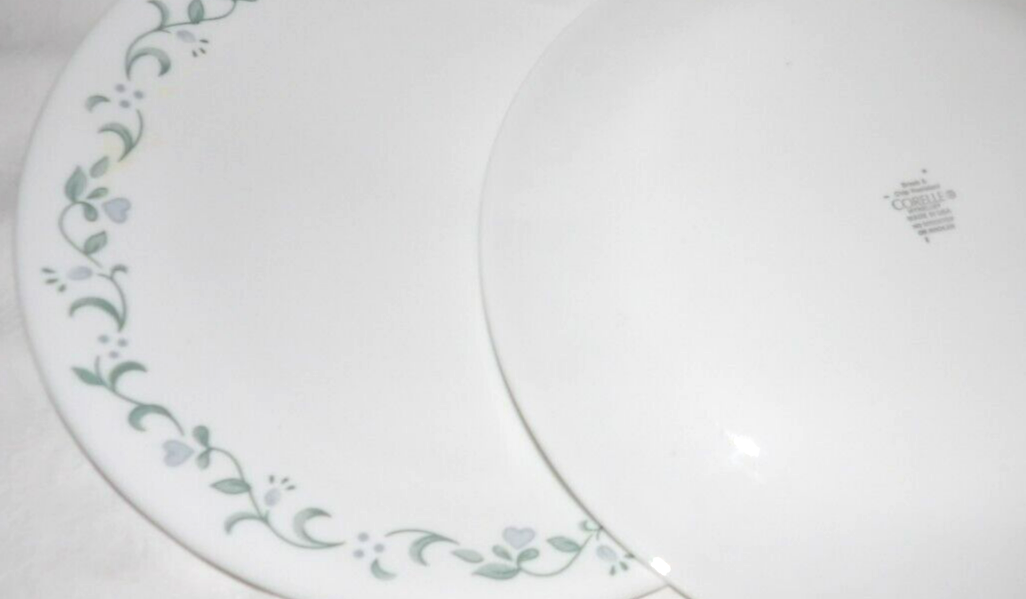 CORELLE Country Cottage Pattern Lot of 2 Dinner Plates 10.25