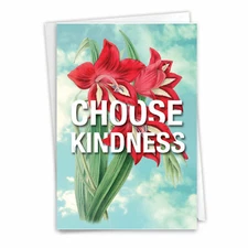 1 Friendship Card with Envelope - Timely Thoughts Choose Kindness C3696GFRB