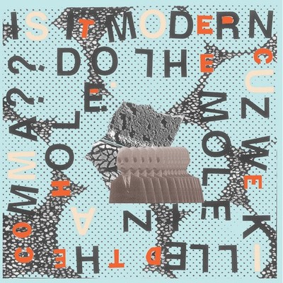 Andy Human and The Reptoids Kill the Comma/Do the Mole (Vinyl) 7'' Single