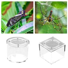 Reptile Breeding Box Spider Box Acrylic Portable Mantis Feeding Case Spider