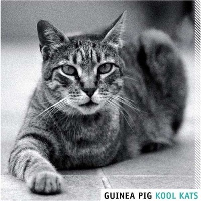 Guinea Pig Kool Kats