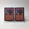(2) MTG Mogg Bombers Stronghold Magic The Gathering Vintage 1998