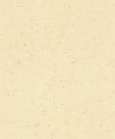 Rasch Vliestapete 520842 Tapete Putz Optik Beton Beige (4,02€/1Qm)