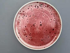 Vintage 1970s Mimi Semmes Dann 11" Stoneware Ceramic Studio Art Pottery Plate