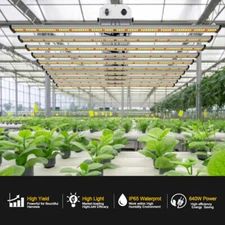 800W Spider LED Grow Light SAMSUNG561C 10Bar Dimmable Full Spectrum Growing Lamp