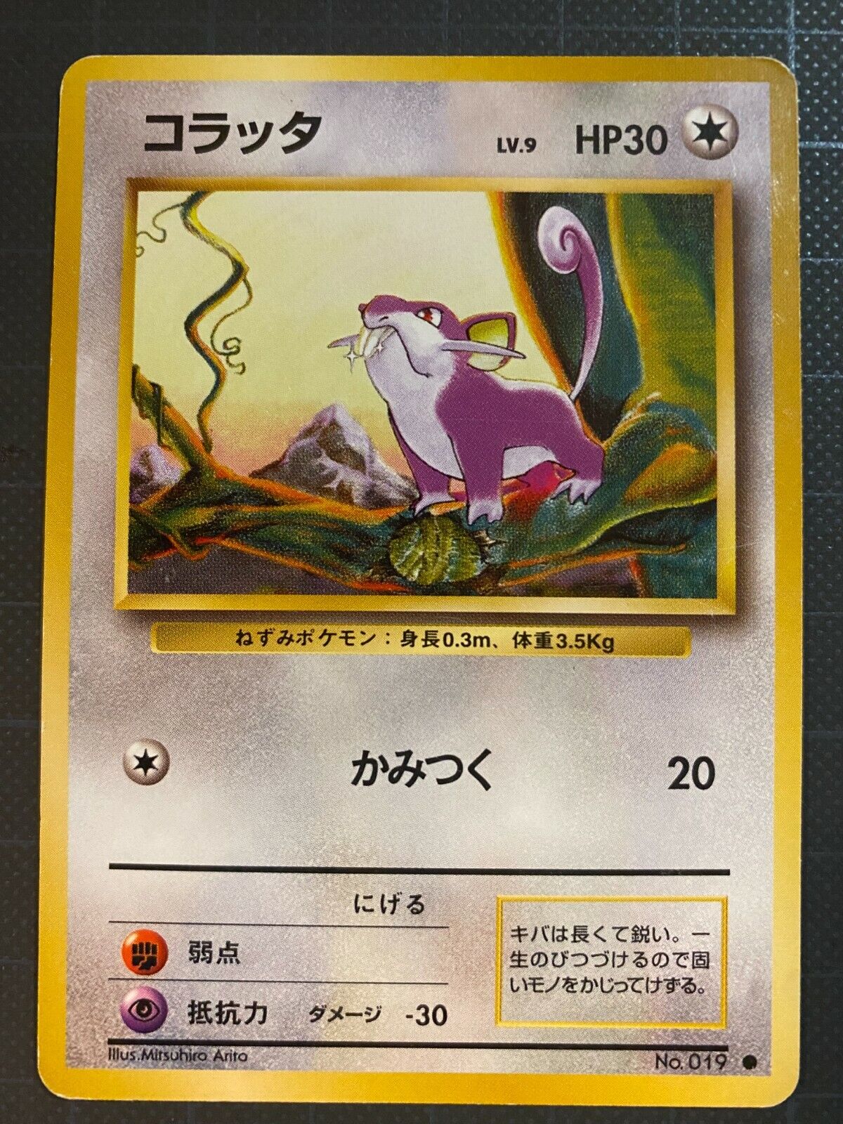 ◓ Pokédex Completa: Rattata (Pokémon) Nº 019