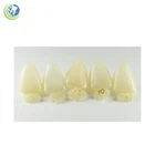 Tooth #8 Upper Right Central Anterior (URC) Polycarbonate Temporary Crown Refill