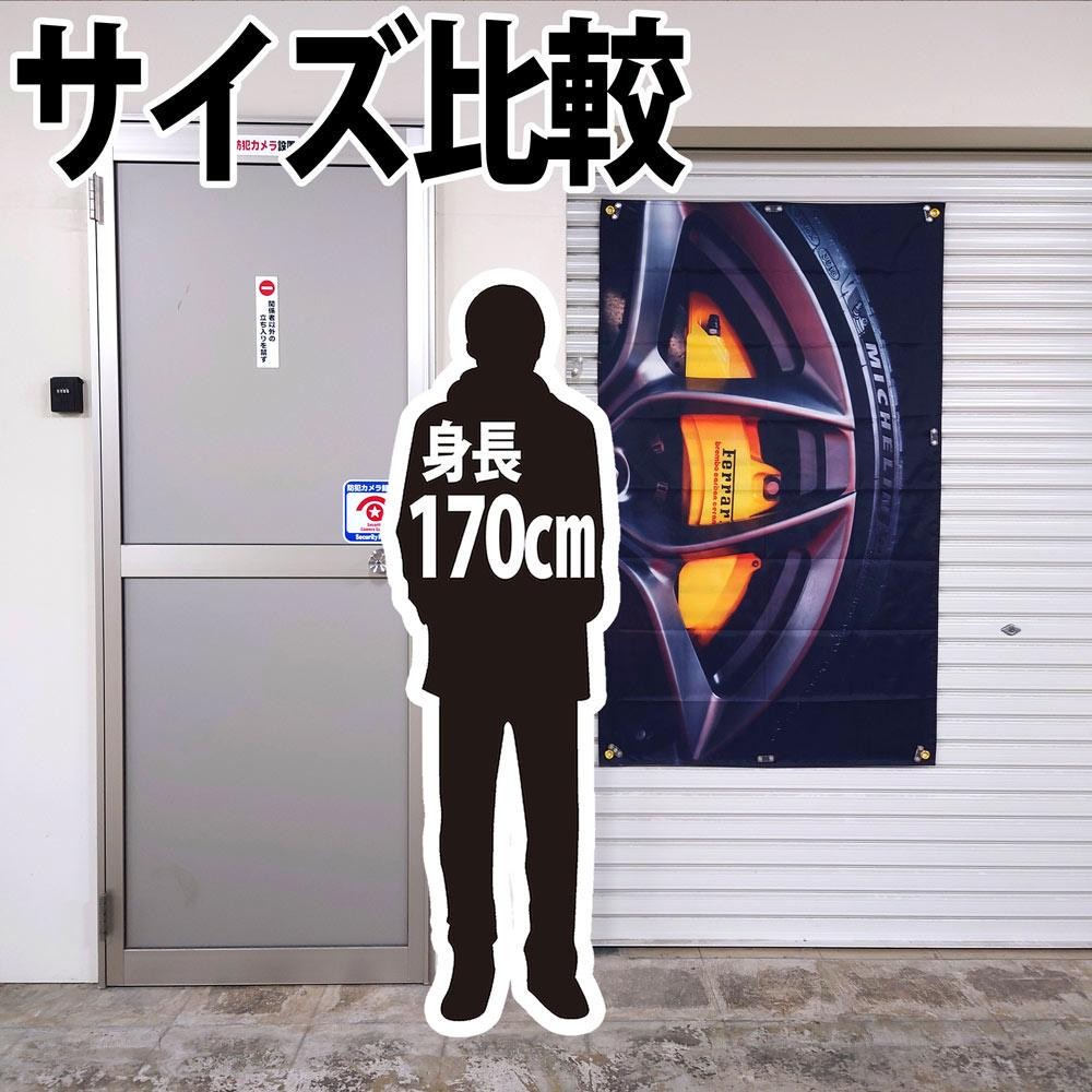 Zdjęcie 4 z 11
