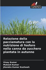 Relazione della pacciamatura con la nutrizione di fosforo nella canna da...