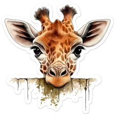 Peeking Giraffe - Vinyl Decal Sticker - Car Window Laptop - ebn11947