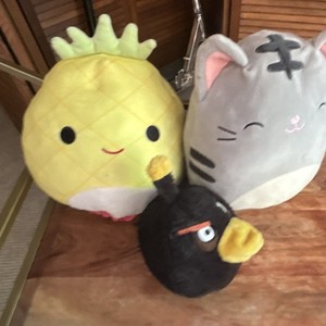 Squish mellows  Mixed Lot Plush Cat Pineapple Stuffed Animals