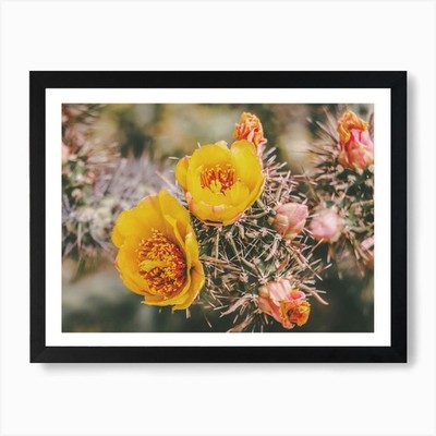 Pastel Cactus Flowers Art Print Framed Wall Art Poster Canvas Print Picture