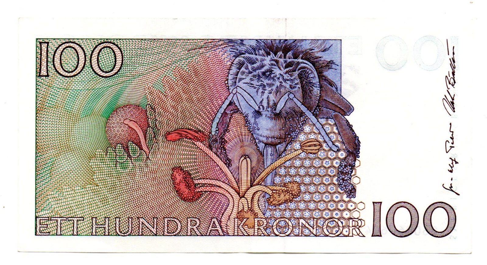 Foto 2 di 2