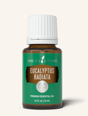 EUKALYPTUS  Eucalyptus Radiata Young Living  15 ml  ÄtherischesÖl  neu