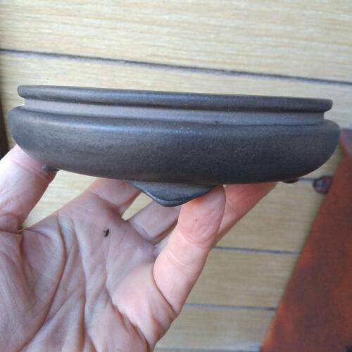 Bonsai Pot Tokoname Shibakatsu Unglazed Oval Dia 13.7 cm / 5.39 in.