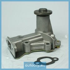 Pompe à eau Innocenti MINI