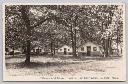 Baldwin Mi, Big Star Lake Bowery Cottages & Grove, Vintage RPPC Echtfoto-Postkarte