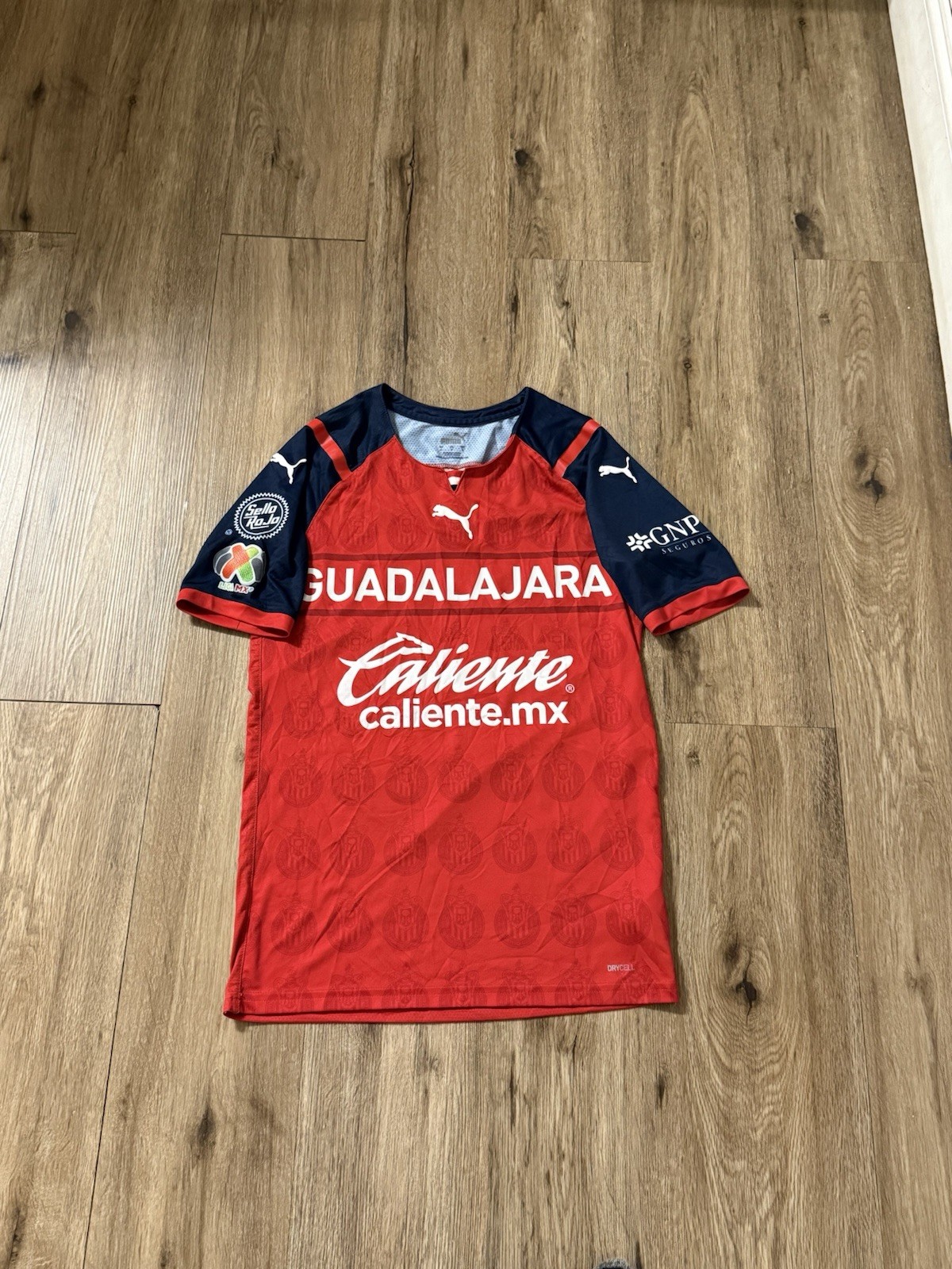 authentic puma liga mx chivas de guadalajara 2021/2022 third jersey SZ S