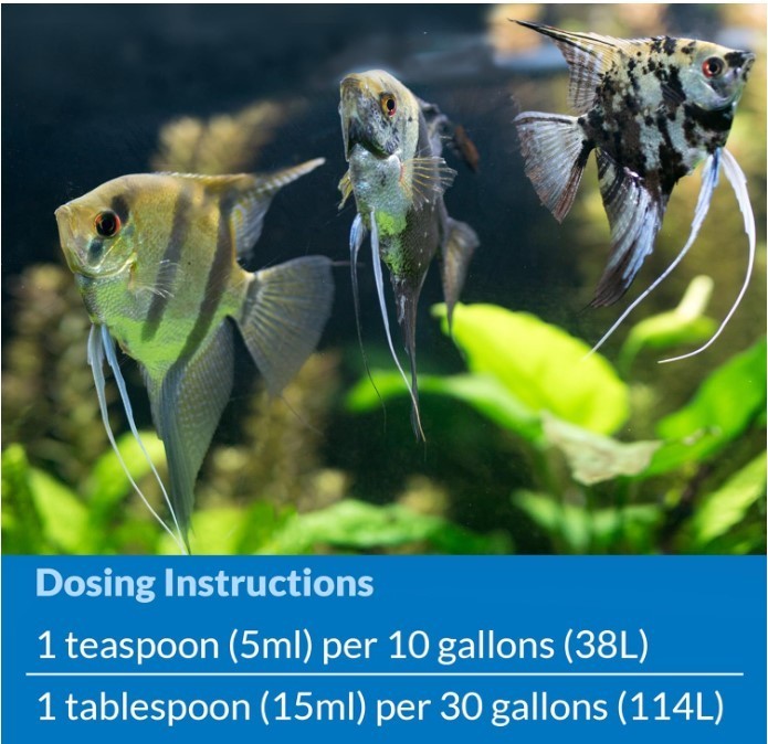 API STRESS COAT Aquarium Water Conditioner 4-Ounce Bottle (85B)