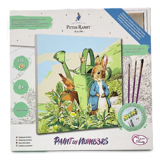 Peter Rabbit & Robin Craft Buddy Paint by Numbers Painting Canvas Kit 30 x 30cm