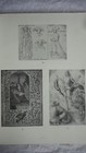 Picture 3 of 9