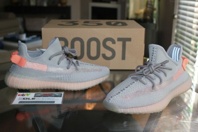 Adidas Yeezy Boost 350 V2 True Form Size 9 US Men Eg7492 for sale online |  eBay