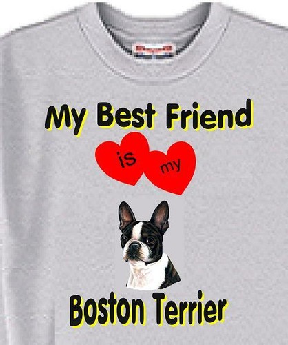 Dog Sweatshirt - My Best Friend Is My Boston Terrier - Picture 4 of 4