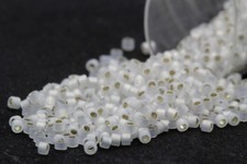 Miyuki Delicas 11/0 Inside Dyed Silver Lined Seed Beads DB-221