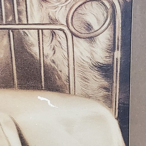 ALFRED JAMES DEWEY CAMARADAS IMPRESIÓN LITOGRAFÍA MARCO MADERA VIDRIO PERRO NIÑA ANTIGUO *LEER* - Imagen 6 de 18