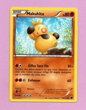 Pokemon 62/116 MAKUHITA PV80 Versione Francese Carta Singola 2013